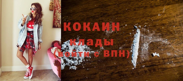 стаф Пересвет